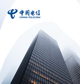 雷迪司ups中国电信案例