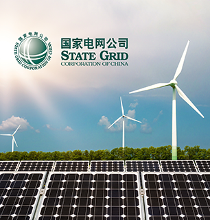 雷迪司UPS国家电网案例